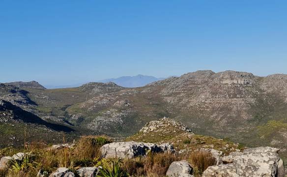 Distance and biodiversity